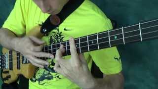 The Killers 'Mr Brightside' - Solo Bass - Zander Zon