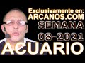 Video Horscopo Semanal ACUARIO  del 14 al 20 Febrero 2021 (Semana 2021-08) (Lectura del Tarot)