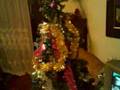 piva le chat fou dans le sapin de noel