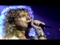 Reunion Concerts (1985/1988/1995)