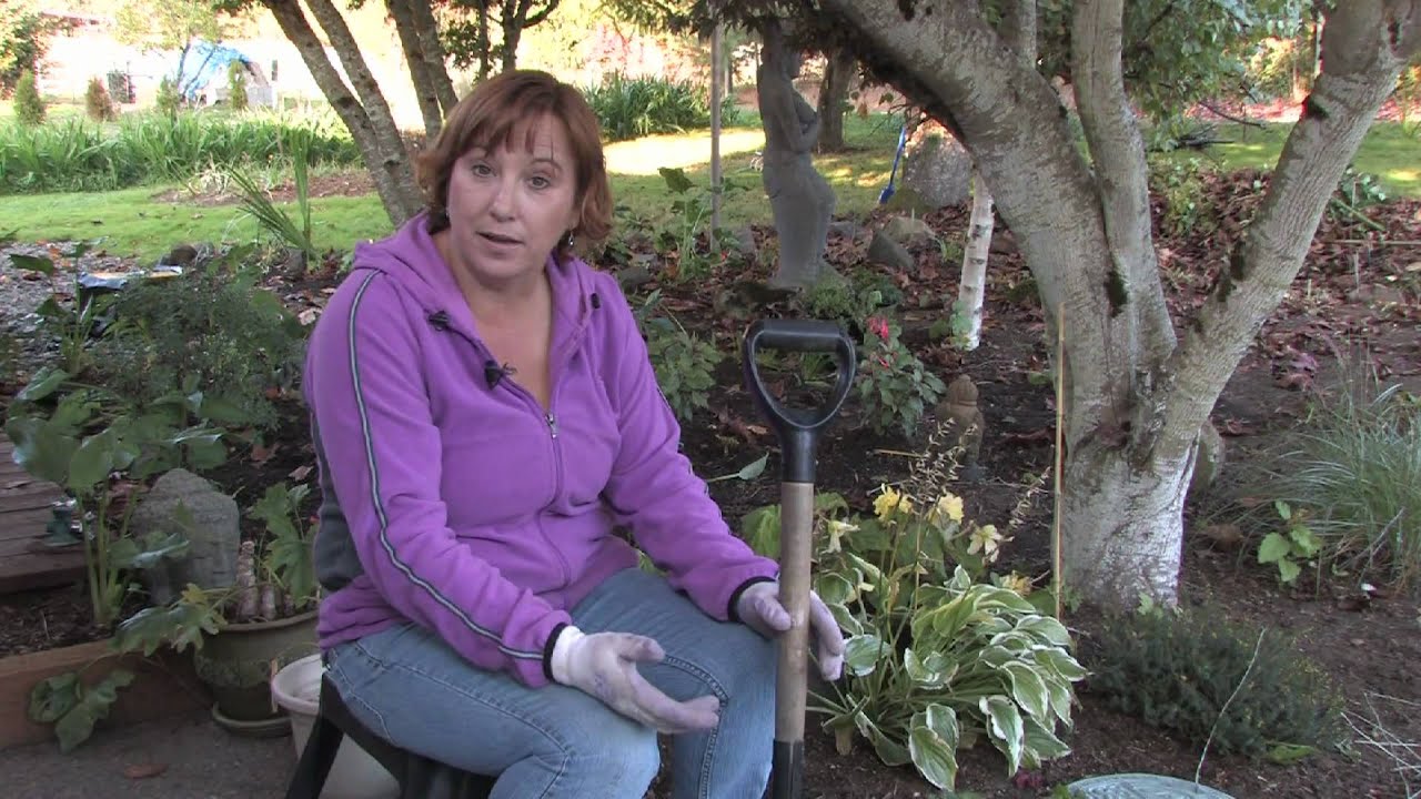 Plant Care &amp; Gardening When Is the Best Time to