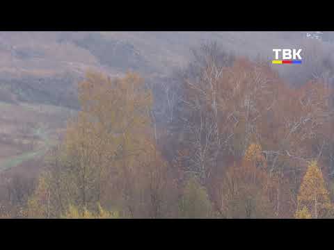 Православные бердчане отмечают праздник Покрова Богородицы