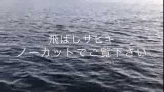 fishingmax芦屋 なんと「マアジ」が釣れてました