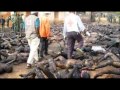 LA DEMOCRATIE FACE AUX ILLUMINATI: LE CAS DE LA COTE D'IVOIRE 8/8