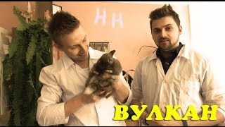 Научные нубы - "вулкан"