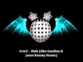 Avicii - Malo (Remix)