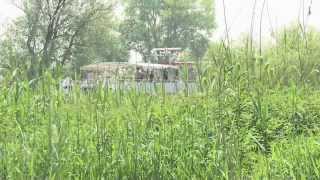 Rondvaartbedrijf Zilvermeeuw Biesbosch