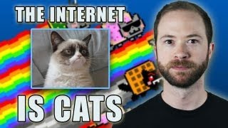 Is the Internet Cats? | Idea Channel | PBS Digital Studios