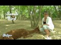 Ferme insolite et sports équestres dans les Hautes Pyrénées Les animaux de la 8 D8 2013 10 13 12 0