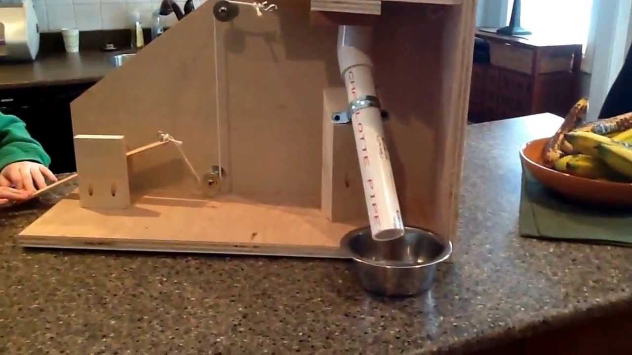 automatic feeder for cats