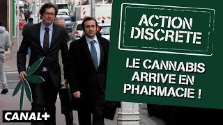 Action Discrète - Le cannabis arrive en pharmacie !