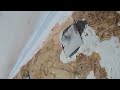 Palimino popup trailer roof repair part 1