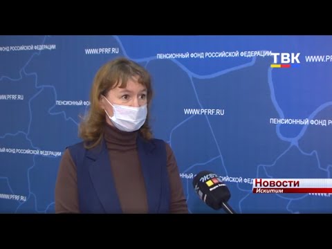 Материнский капитал: как искитимцы распорядились денежными средствами в 2020 году