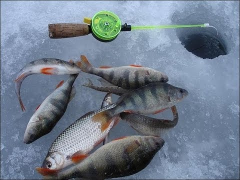 Влюбленные смотреть онлайн узбекский фильм на русском языке