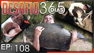 PESCARIA, DONUTS E MINHOCA - Desafio 365 Dias EP.108