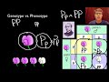 Mendelian Genetics