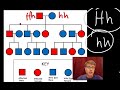 Mendelian Genetics