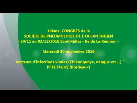 Vecteurs d’infections virales Chikungunya, dengue etc… Pr H. Fleury Bordeaux