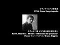 ラヴェル/鏡より 4.道化師の朝の歌/演奏:ブルーノ・リグット