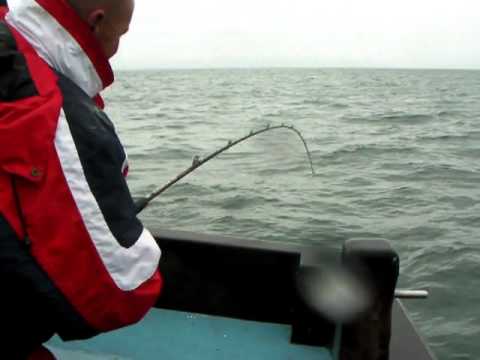 Bass Fishing 2010