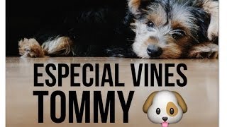 ESPECIAL VINES - TOMMY