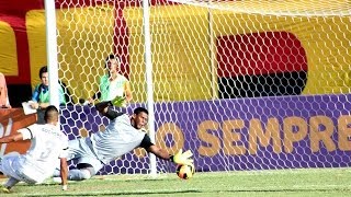 Vitória 2 X 0 Santos. Gols de Dinei e Biancucchi. (17/11/2013)