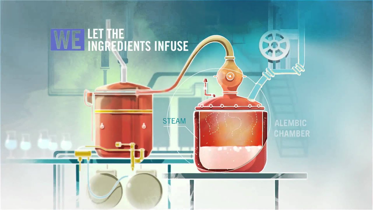 The Belvedere Maceration Process YouTube