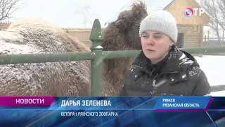 Малые города России: Ряжск - здесь выпускают почтовые конверты и открыт частный бесплатный зоопарк
