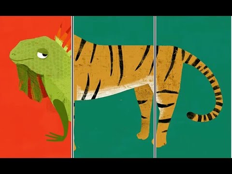 Animal Match Up -Part 1| Baby Learn The Names Of The Animals | Funny Animals Game For Kids