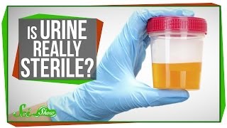 Is Urine Really Sterile?