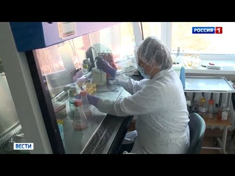 Новосибирские учёные создали новый препарат для лечения клещевого энцефалита