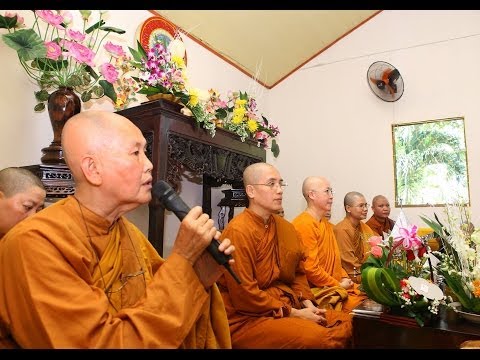 Vi Diệu Pháp - Sở Hữu Ngã Mạn