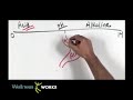 *Alkaline ~ Acid pH Balanced Diet Explained