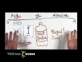 *Alkaline ~ Acid pH Balanced Diet Explained