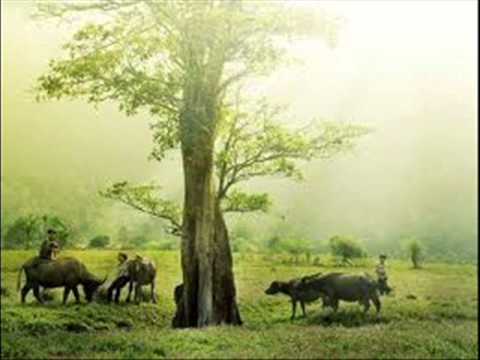 Que Huong . Giang Nam . Vu Kim Dung.wmv