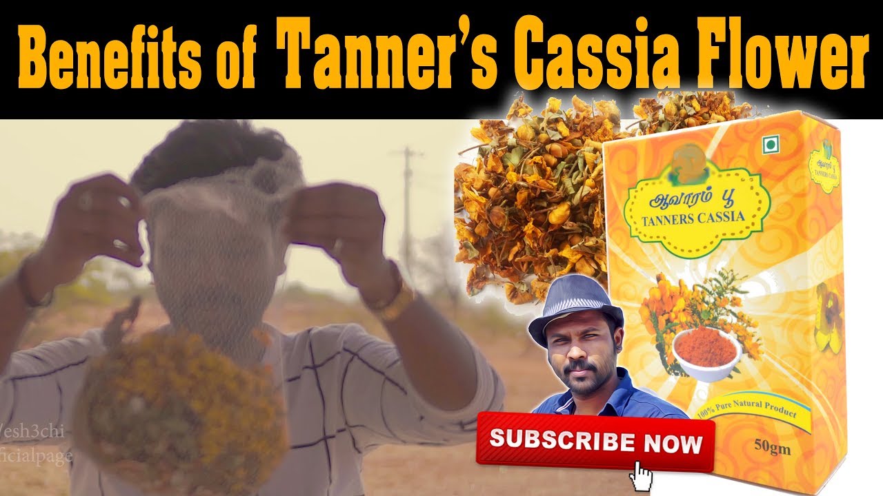 ஆவாரம்பூவின் பயன்கள் | Benefits of Tanner's Cassia Flower | Esh Vlog