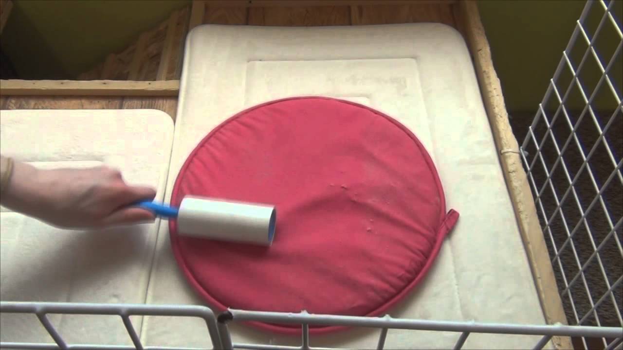 How I Clean My Rabbit's Cage YouTube