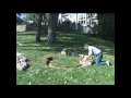 How to Build A Plantable Entry Monument/Marker