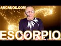 Video Horscopo Semanal ESCORPIO  del 19 al 25 Febrero 2023 (Semana 2023-08) (Lectura del Tarot)