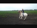Full Speed Gallop (bareback) - Youtube