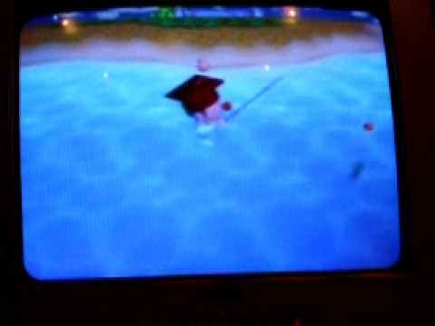 animal crossing wii fish/money guide with cheats & easter egg ...