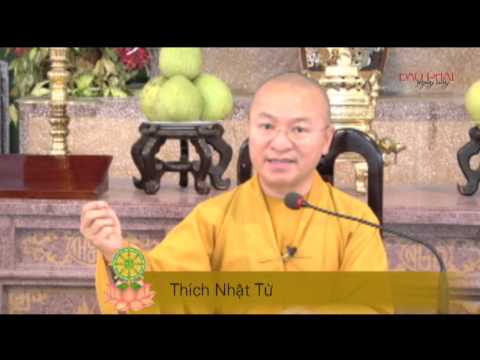 Vấn đáp: Trở về Đạo Phật nguyên chất để phụng sự nhân sinh - Thích Nhật Từ