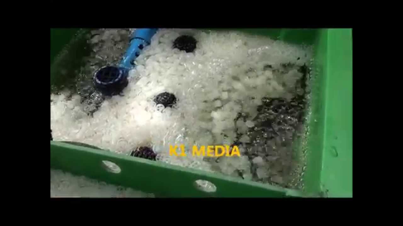 Aquaponics Philippines, Moving Bed Bio Filtration MBBF DIY, November 