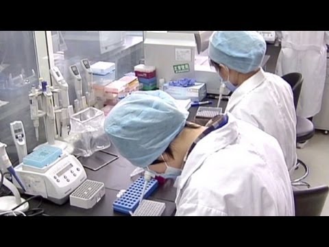 CNN\'s Ivan Watson reports on the World Health Organization\'s response to a new strain of bird flu in China and Taiwan. For more CNN videos, visit our site at http://www.cnn.com/video/