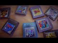 THE GAMEBOY COLOR DOCUMENTARY