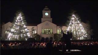 惊奇日本：看看日本的大學裏有什麽【ビックリ日本：関学のクリスマス】