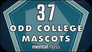 37 Odd College Mascots - mental_floss on YouTube (Ep. 22)