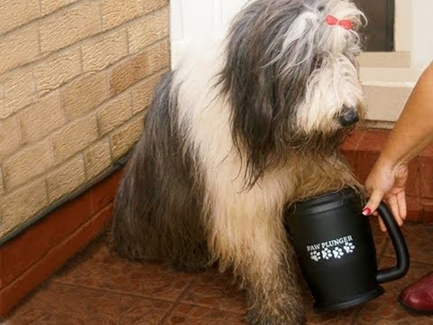 PawPlunger- Portable Dog Paw Cleaner or Car Wash for your Dogs Paws PawPlunger- Portable Dog Paw Cleaner or Car Wash for your Dogs Paws