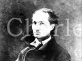 Charles Baudelaire - Les chats - Lecture de poème en ligne