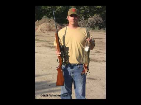 Cottontail Rabbit Shot with a 5mm Remington Rimfire - Centurion Ammo